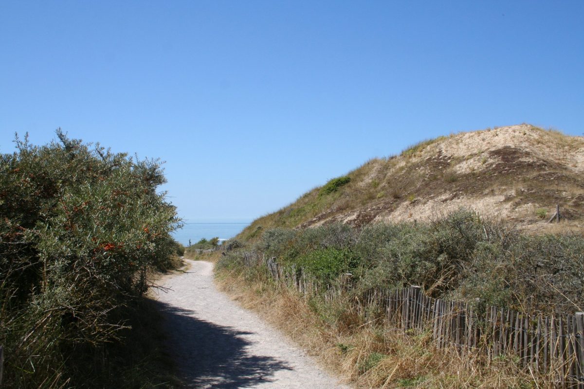 massif dunaire